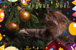 Joyeux Noel !