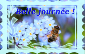 Belle Journée !