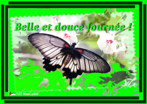 Belle et douce journée !