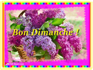Bon Dimanche !