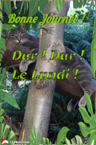 Bonne Journée Dur ! Dur ! Le Lundi !