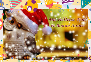 Joyeux Noël et Bonne Année