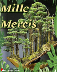 Mille Mercis