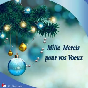 Mille Mercis pour vos Voeux