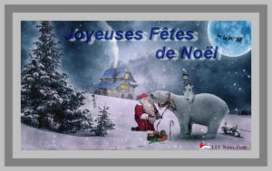 Joyeuses Fêtes de Noël