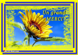 Un grand MERCI