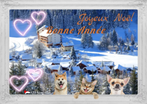 Joyeux Noel