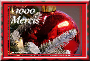 1000 Mercis