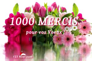 1000 Mercis pour vos Voeux !