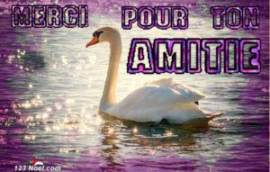 Merci pour ton amitié