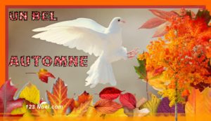 Un bel Automne