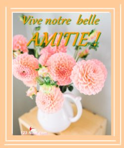Vive notre belle AMITIE !