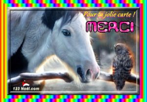 MERCI