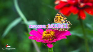 Encore MERCI !