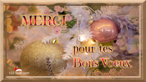 MERCI pour tes Bons Voeux !