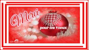 Merci pour tes Voeux