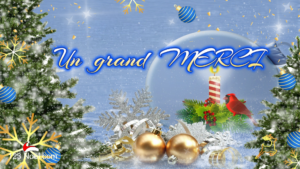 Un Grand MERCI pour ta jolie carte !