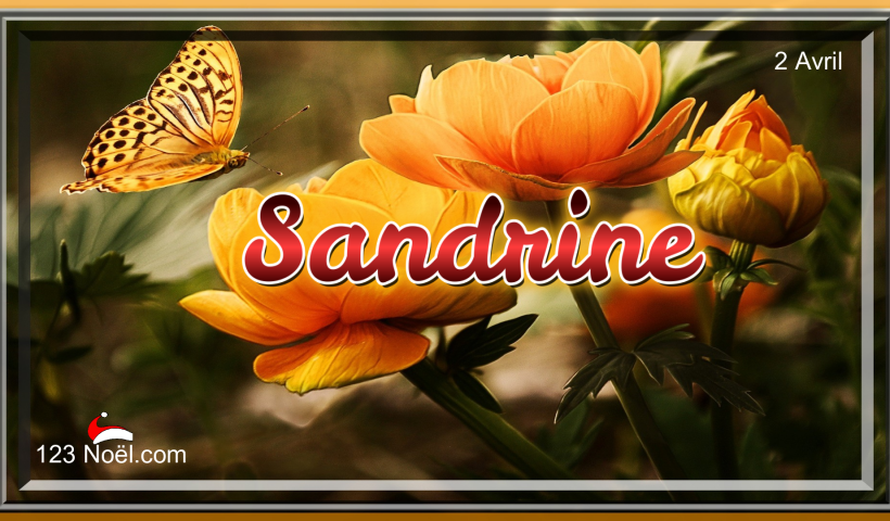 Bonne Fête Sandrine
