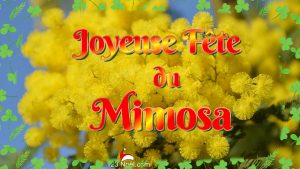 Joyeuse Fête du Mimosa !