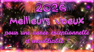 Meilleurs Voeux pour 2026 !