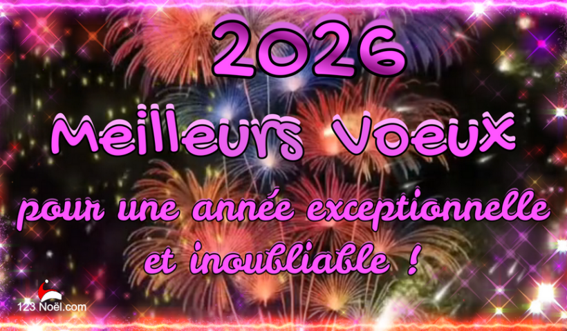 Meilleurs Voeux pour 2026 !